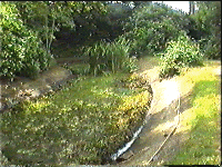 dry pond
