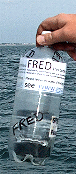 Flashing Fred about to be dropped the Solent