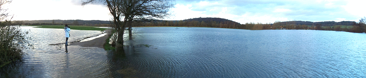 2014 Floods on The Thames near the Flowerpot