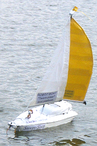 Snoopy sails on Bray Lake