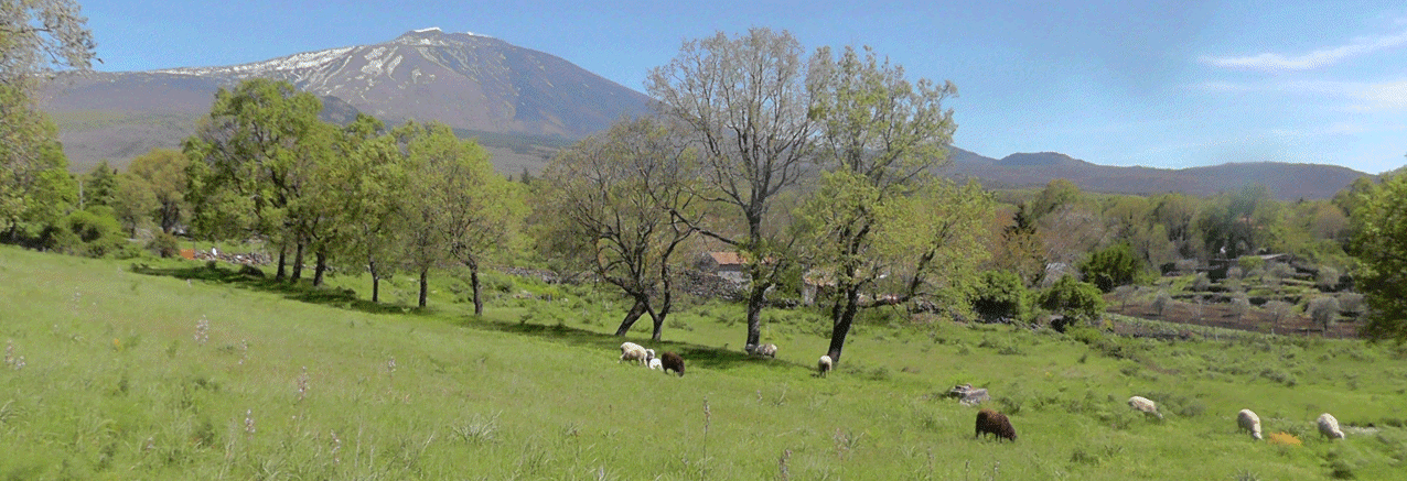  Holiday in Sicily in May 2019 with Robin and June Lovelock 