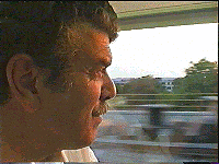 Robin on Train