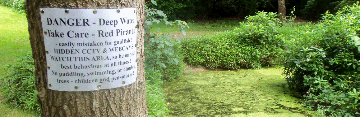 AMRA Pond