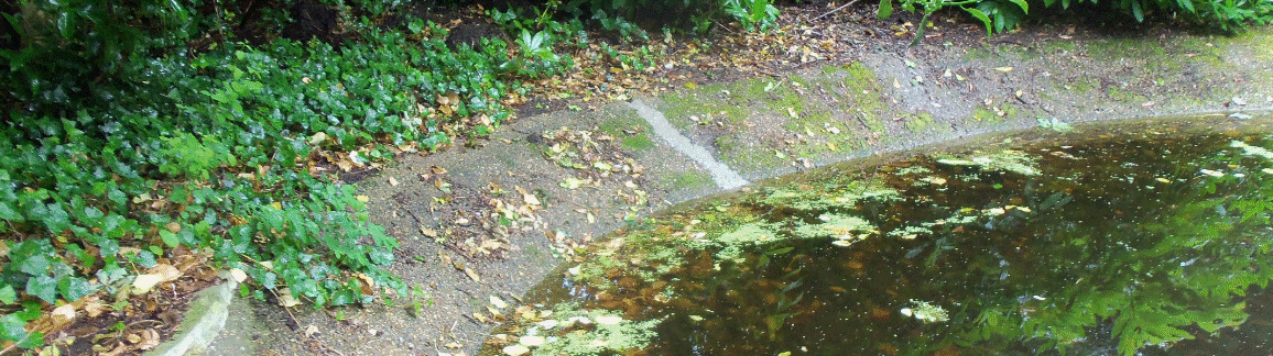 AMRA Pond