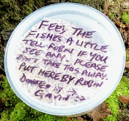 Fish Food