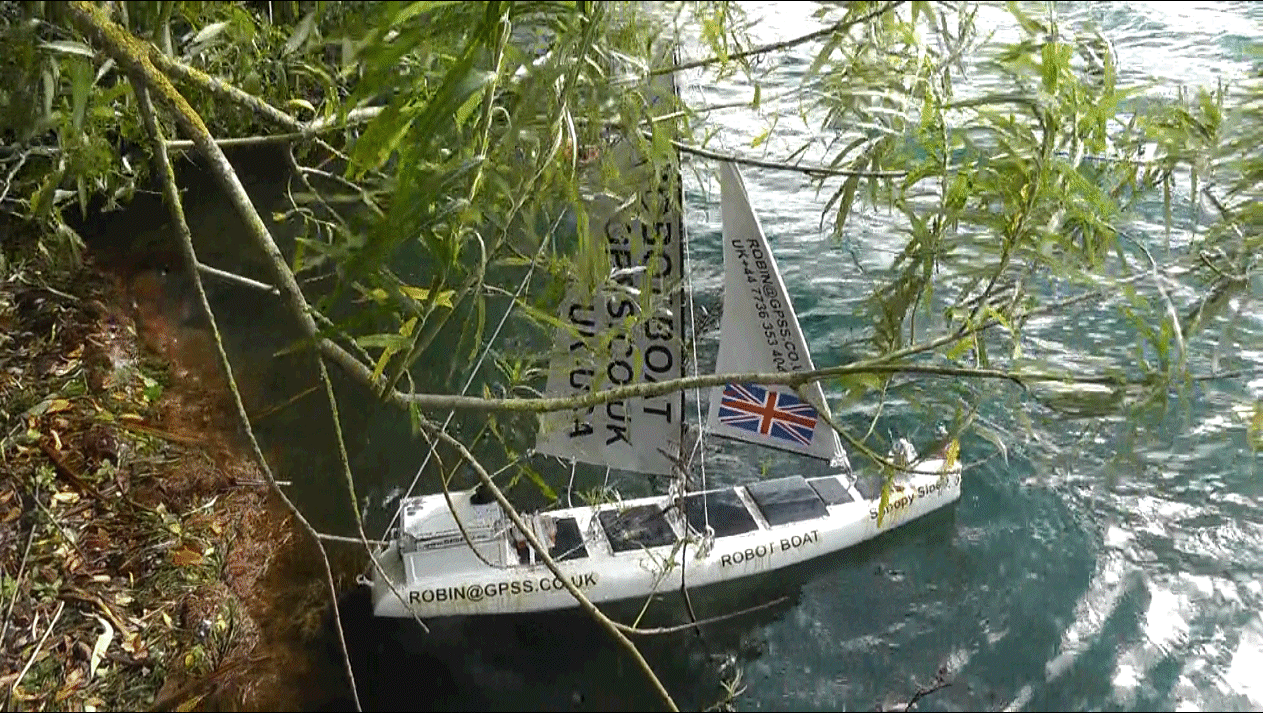 Boat11 in thicket