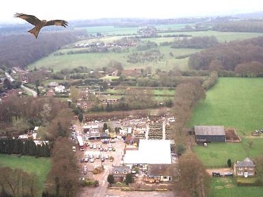 red kite over Charwood garden centre