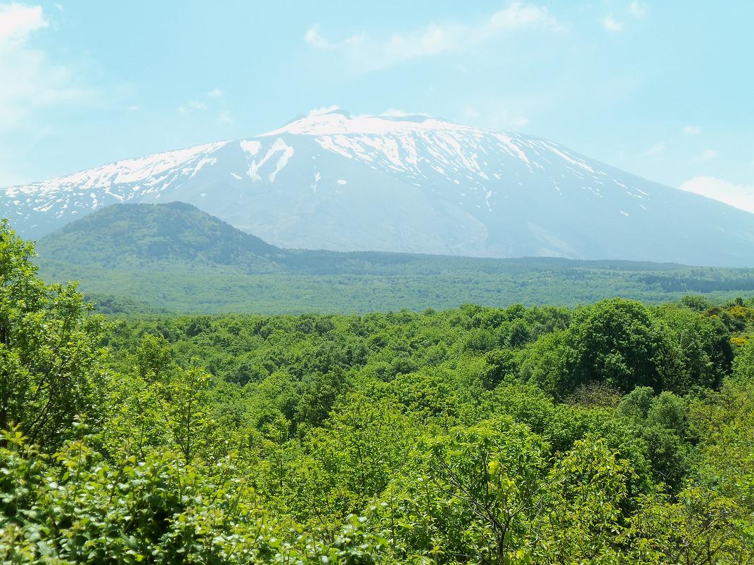 Etna wildlife park - no kangaroos allowed !