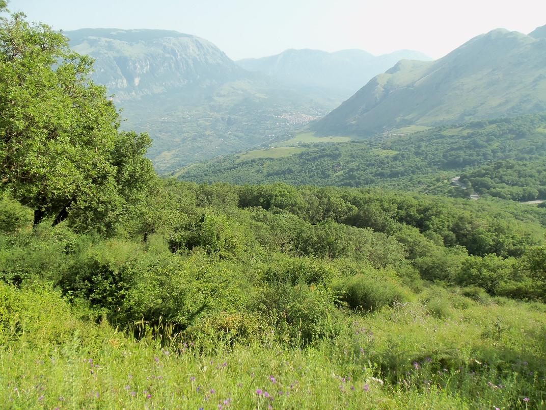 hills near Cefalu