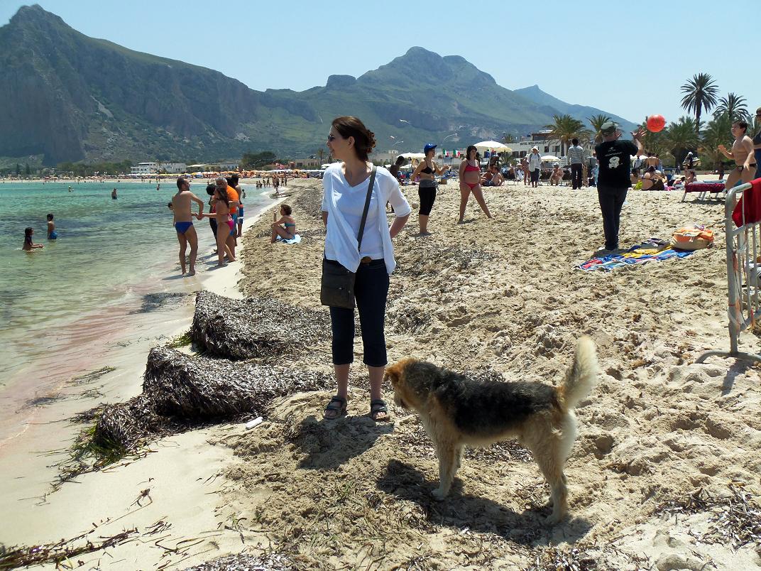 San Vito Lo Capo, and the mad doggy chasing June's shadow