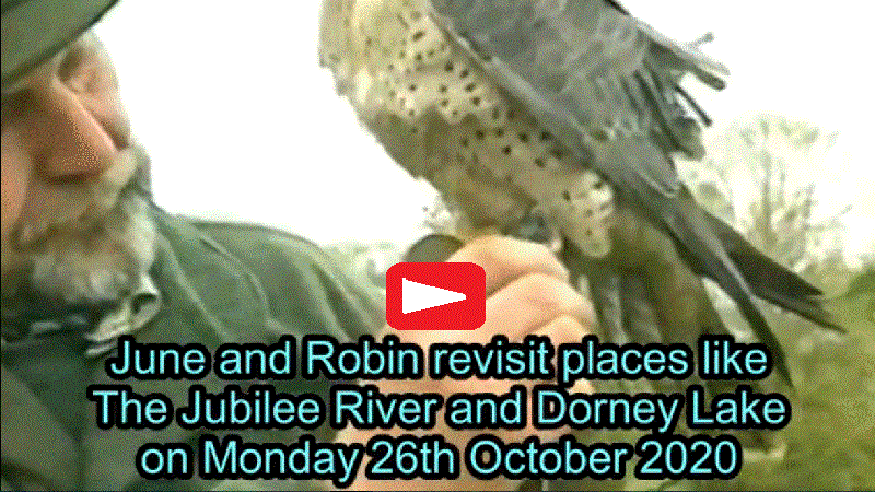 June and Robin Lovelock's visit to Dorney Lake in 2020