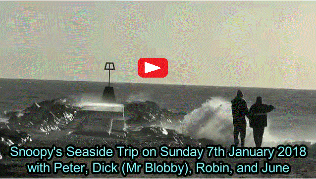 Video of Snoopy's trip to seaside on 7th January 2018