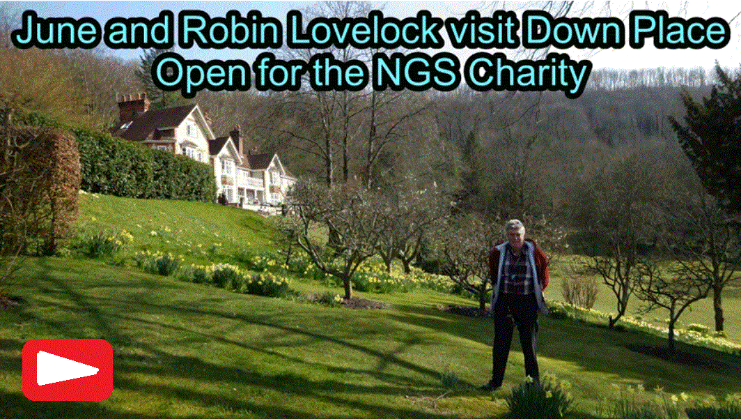 NGS Garden video