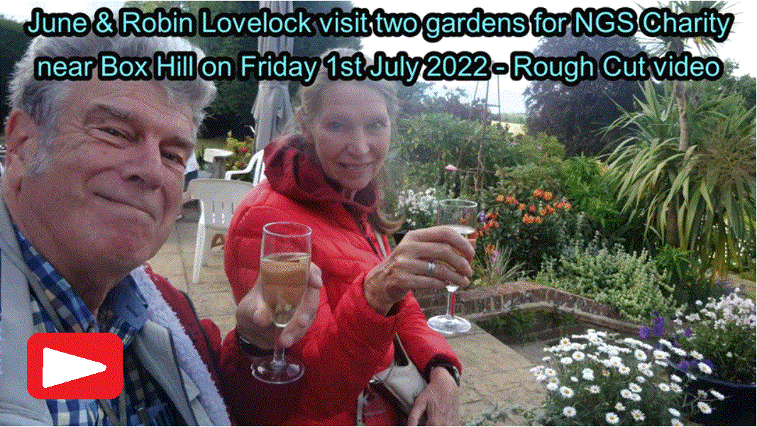 NGS Garden video