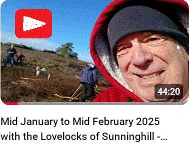 Mid Jan to Mid Feb 2025 Photo Trails