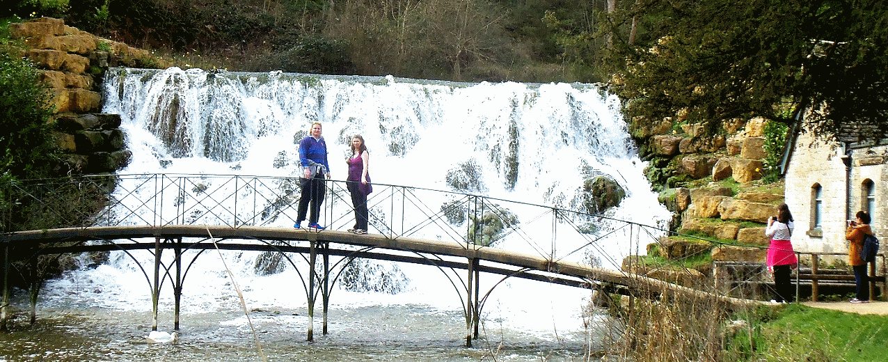 Christmas 2014 newsletter