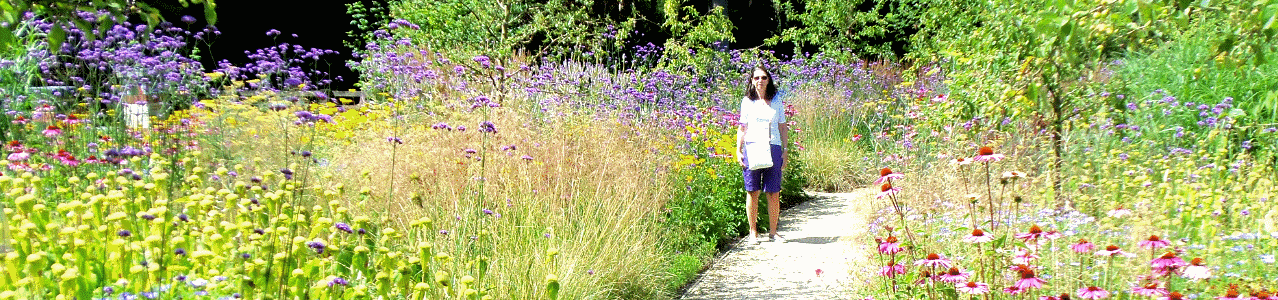 Christmas 2014 newsletter