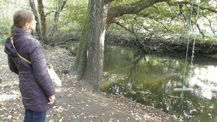 Horseshoe Lake