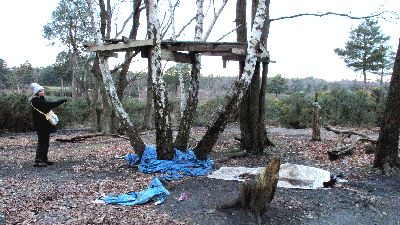 from the Monument on Chobham Common