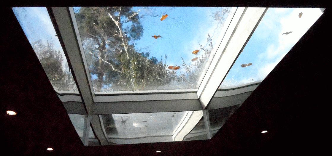 Kitchen in December 2023