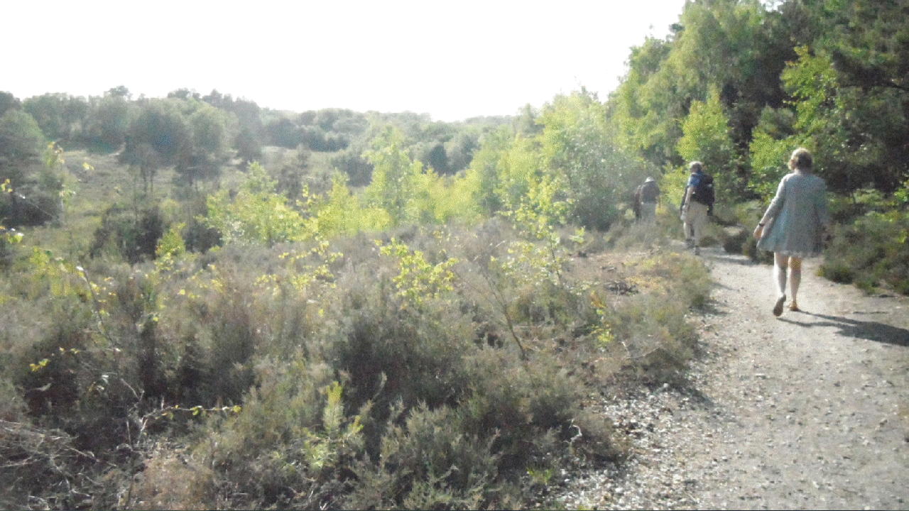 Birthday Boy 2023 photo trails