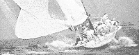 Yacht Race